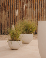 Grau Кашпо из белого цемента Ø 56 см