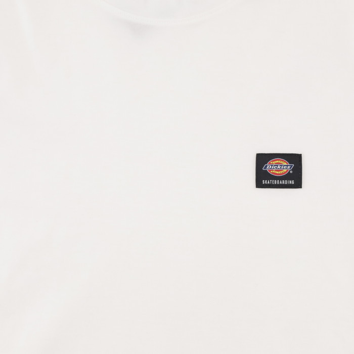 Футболка мужская Dickies Skateboarding Mount Vista Shirt артикул:WSSK6_white - купить в магазине Дайс