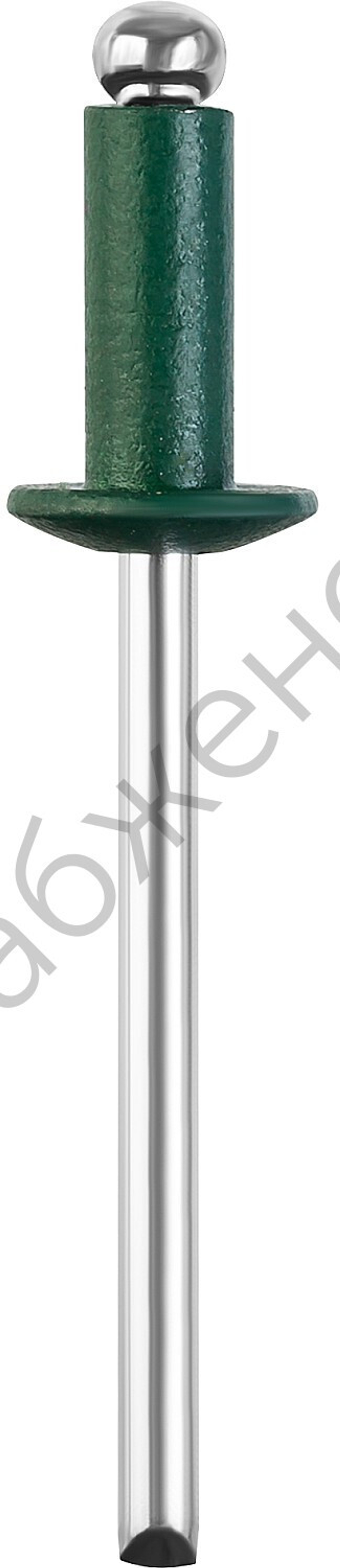 STAYER Color-FIX 3.2 х 8 мм, зеленый насыщенный, алюминиевые заклепки, 50 шт, Professional (3125-32-6005)