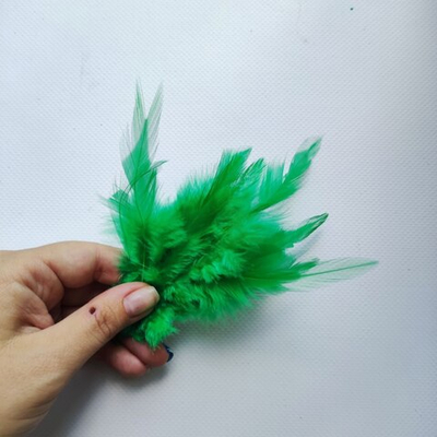 Перья петуха зеленые 2 сорт 20 шт.