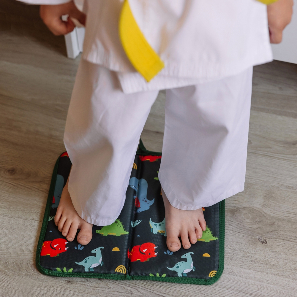 Коврик для переобувания. Динозавры принт