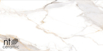 Керамогранит Calacatta Light Grey mat NTT9120M 600*1200мм матовая