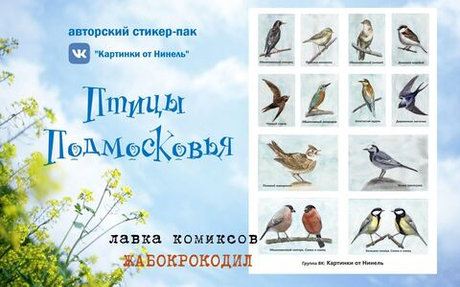 авторский стикер-пак " Птицы Подмосковья"  (Картинки от Нинель)
