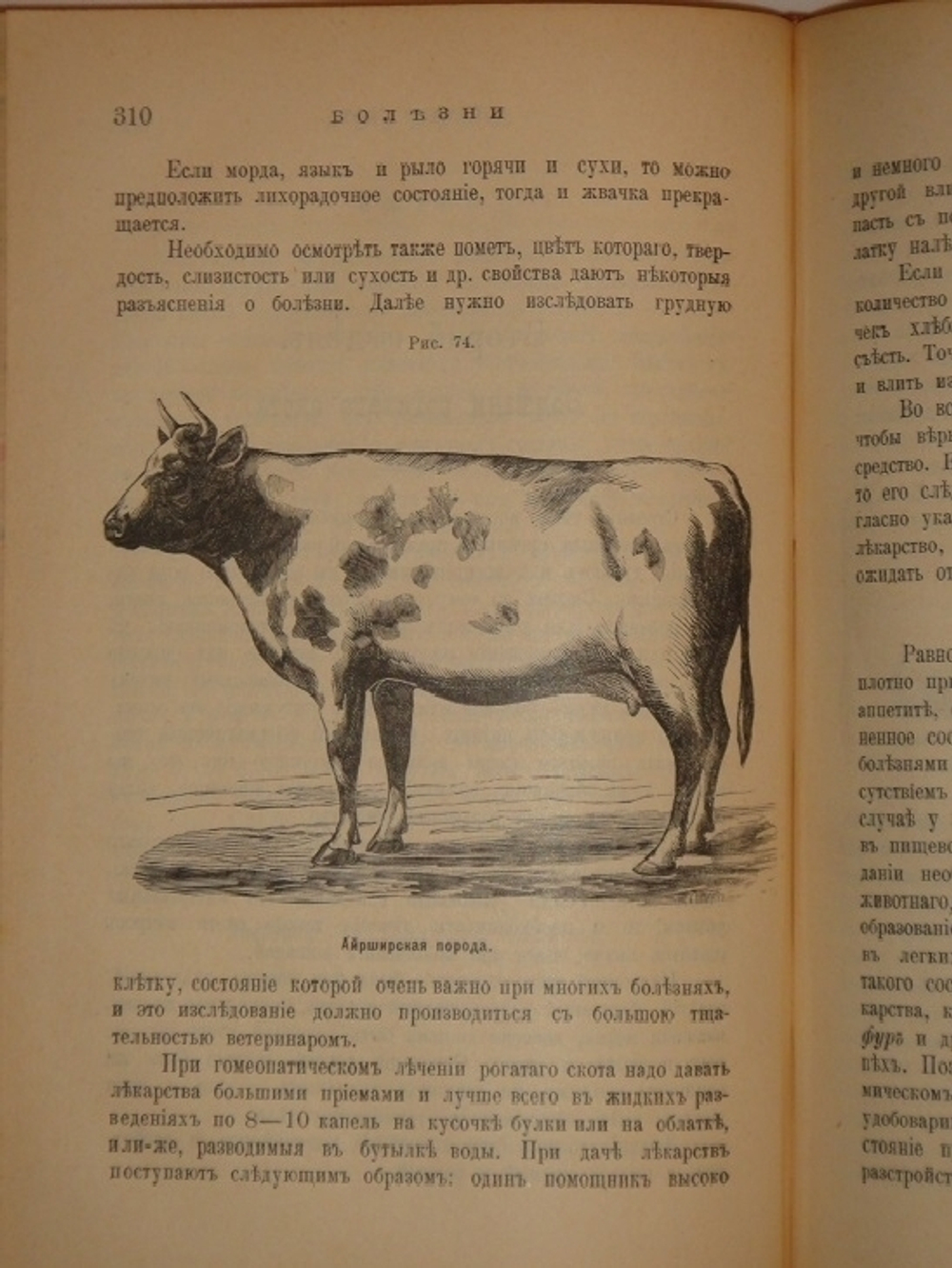 "Иллюстрированный гомеопатический лечебник для домашних животных. Руководство к предупреждению и гомеопатическому лечению болезней лошадей, рогатого скота, овец, свиней, собак и домашней птицы". Вильмар Швабе. 1880г.
