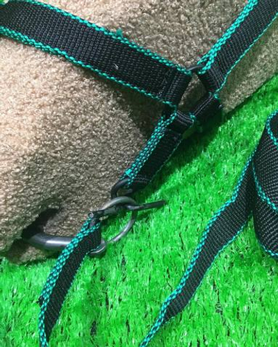 Узда недоуздок капрон двойной