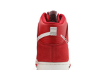 Кроссовки Nike Dunk "First Use"