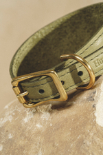 Ошейник "Пони-Селедка" Зеленый