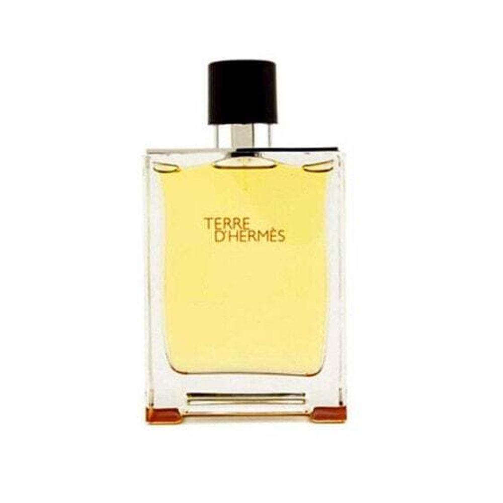 Мужская парфюмерия HERMES Terre EDP 200ml Eau De Parfum