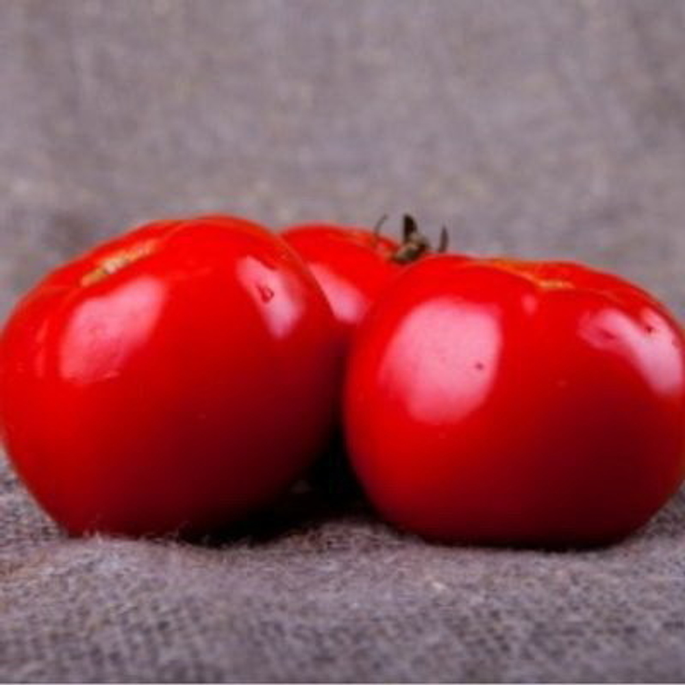 Мирсини F1 семена томата детерминантного (Seminis / Семинис)