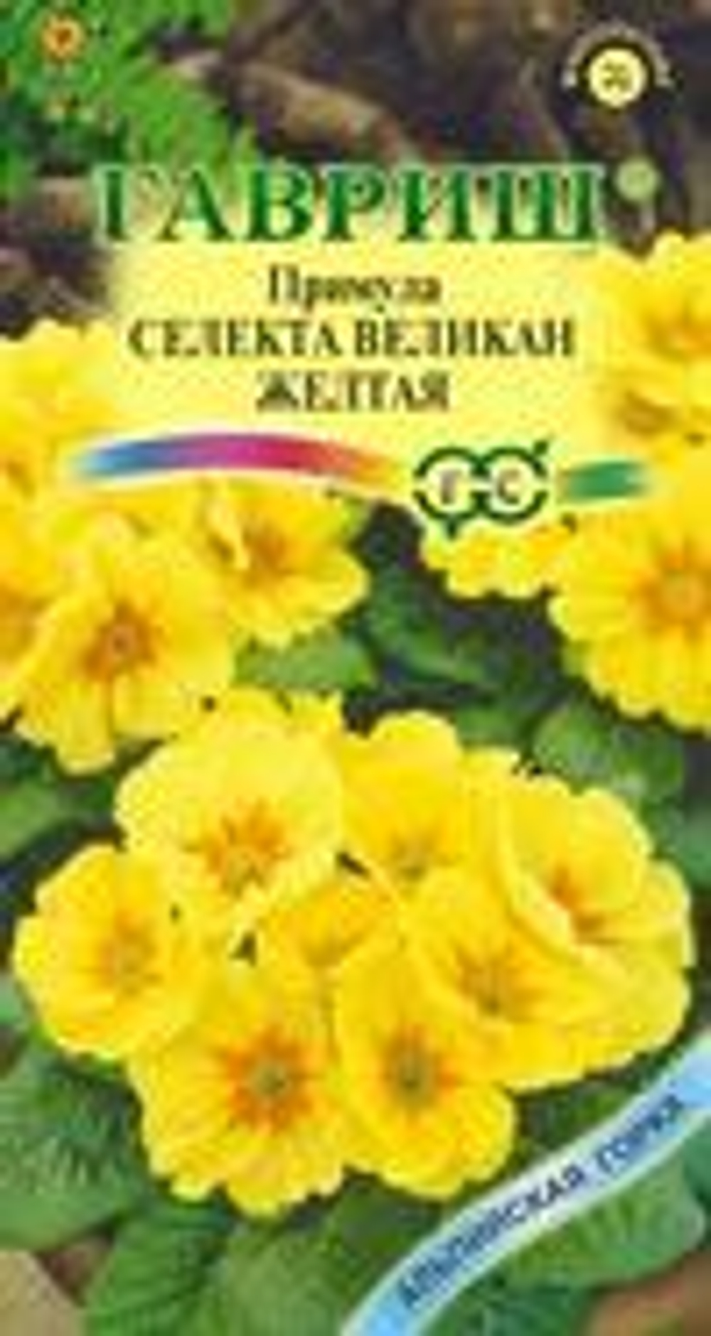 Примула Желтый Великан 10шт Альпийская горка Ц Гавриш