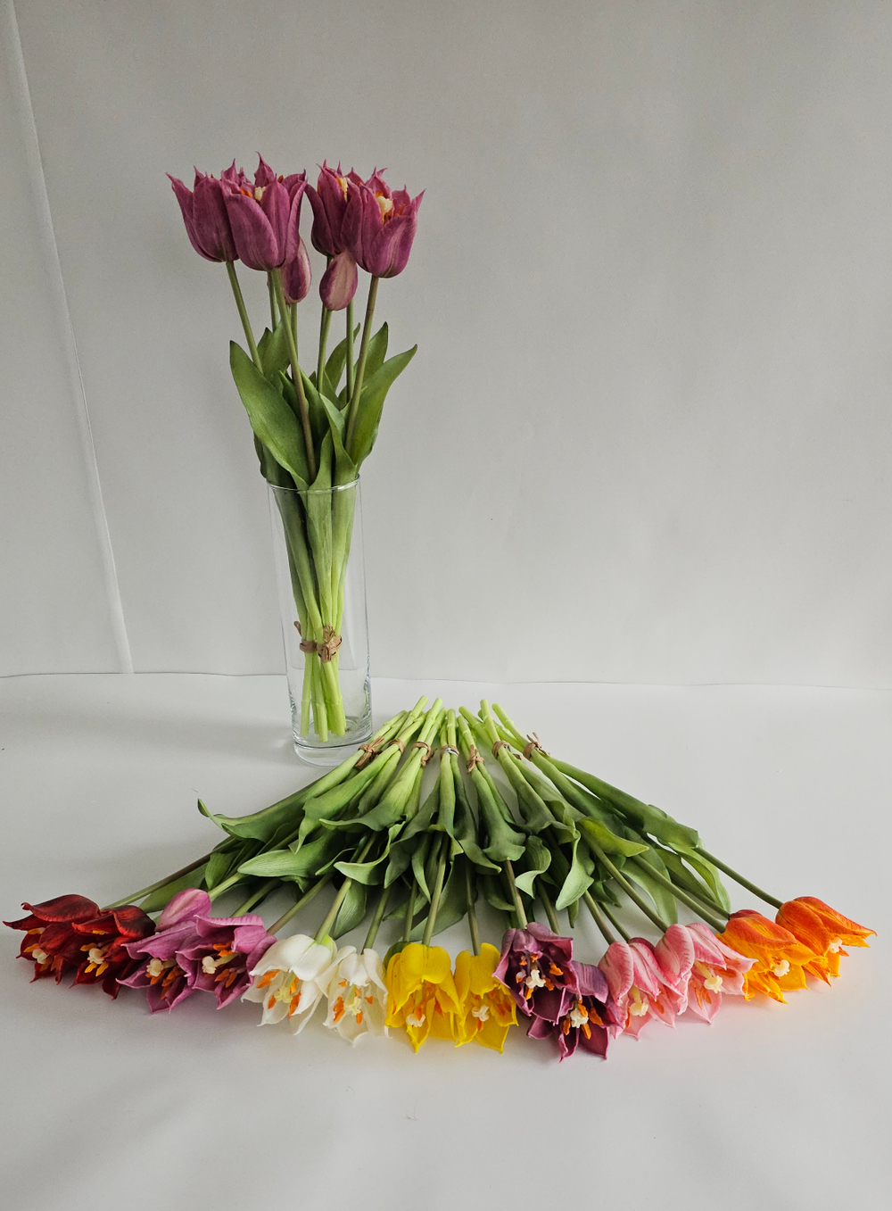 Тюльпаны лилиецветные / Арт 2527