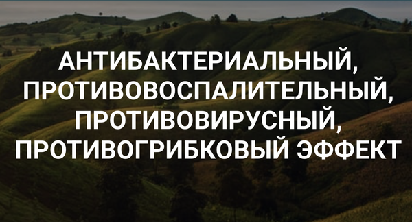 КФС  Антибактериальный, Противовоспалительный, Противовирусный, Противогрибковый эффект