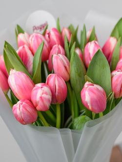 Тюльпаны микс