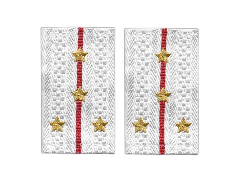 Фальшпогоны Полиция нового образца белые капитан