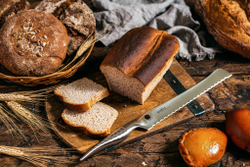 Нож кухонный для хлеба 23.5см Samura Reptile SRP-0055/K