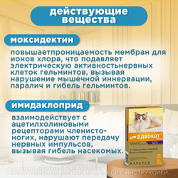 Капли на холку против блох, клещей и круглых гельминтов Elanco Адвокат для кошек более 4кг, 1пипетка