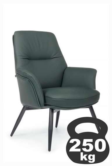 Кресло Batisto-ST C2018 Зеленый