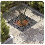 Приствольная решётка  Корни