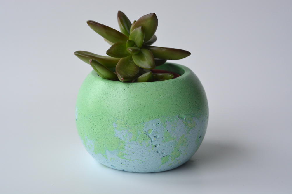 Кашпо Cactus (под d6)