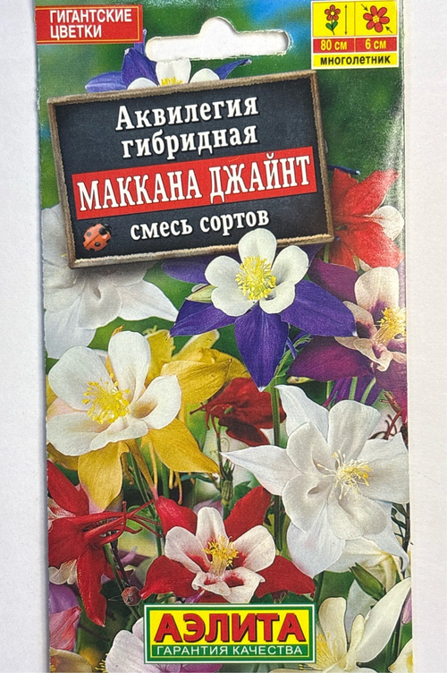 Аквилегия Маккана Джайнт, смесь сортов СМЦ-354