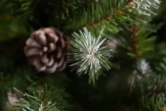 Елка Императрица заснеженная с шишками 120 см., мягкая хвоя, Triumph Tree (73977)