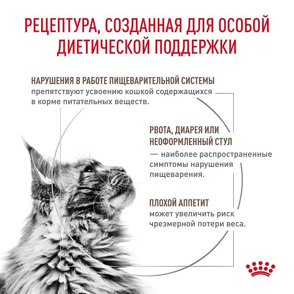Сухой диетический корм Royal Canin Gastrointestinal для кошек при нарушении пищеварения и при истоще