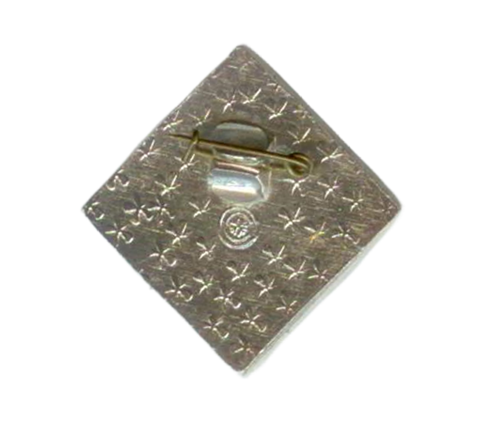 Значок СССР. Омск. ОССО 20 лет