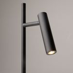 Напольный светильник (торшер) Maytoni Z010FL-L8B3K