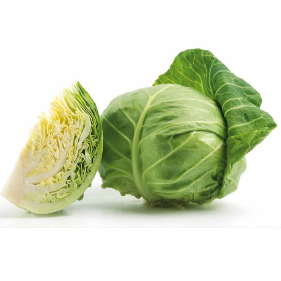 Рапидион F1 семена капусты белокочанной (Seminis / Семинис) – фото 3