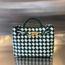 Bottega Veneta Small Andiamo 25 cm