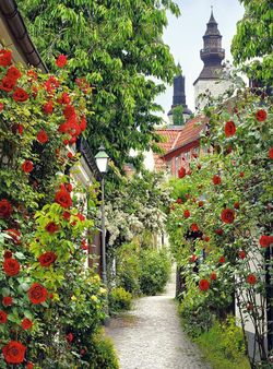 Фреска "Пражская улочка" 134x261 см