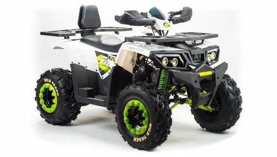 Квадроцикл MOTOLAND 200 Wild Track Lux ( Баланс. вал) (2021 Г.)