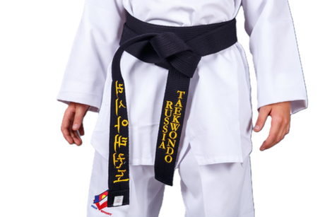 Пояс для тхэквондо ProfSport Премиум с вышивкой