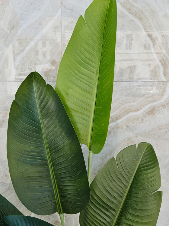 Стрелиция Королевская искусственная в кашпо