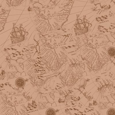 Старая карта корабли моря океаны