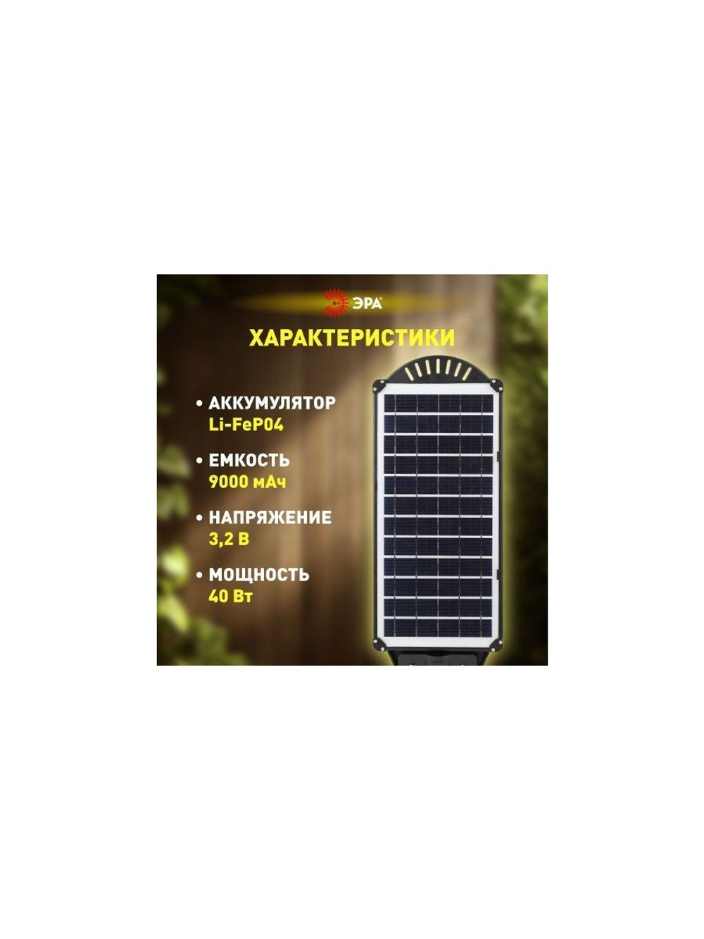 Светильник 40Вт 5000К IP66 700лм консольный на солнечной батарее SMD с кронштейном с датчиком движения ПДУ Эра Б0046800