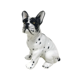 Boxer Французский бульдог черно-белый