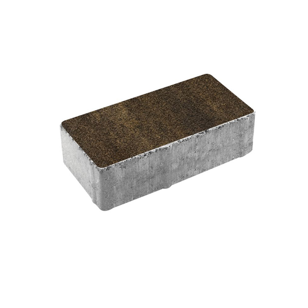 Тротуарная плитка ПРЯМОУГОЛЬНИК 200x100 мм - Листопад гранит Мокко