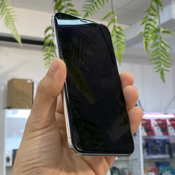 Apple iPhone Xs Max 256Gb