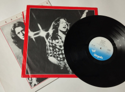 Винтажная виниловая пластинка LP Rory Gallagher Top Priority (Germany 1979)