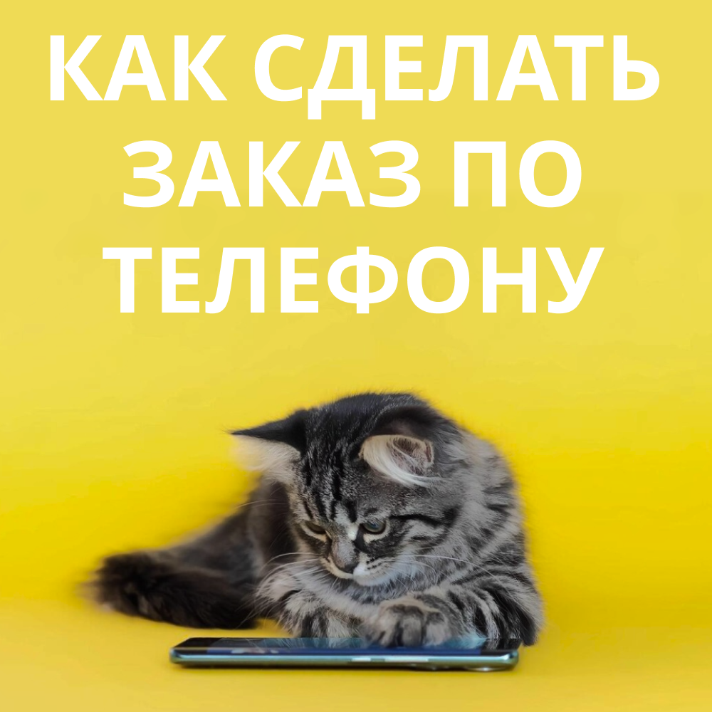 Как сделать заказ по телефону
