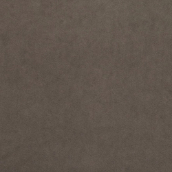 Микровелюр Бэст 23