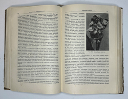 Г. Киселёв. Цветоводство., изд. 1949 г. Подарочное издание с цветными иллюстрациями.