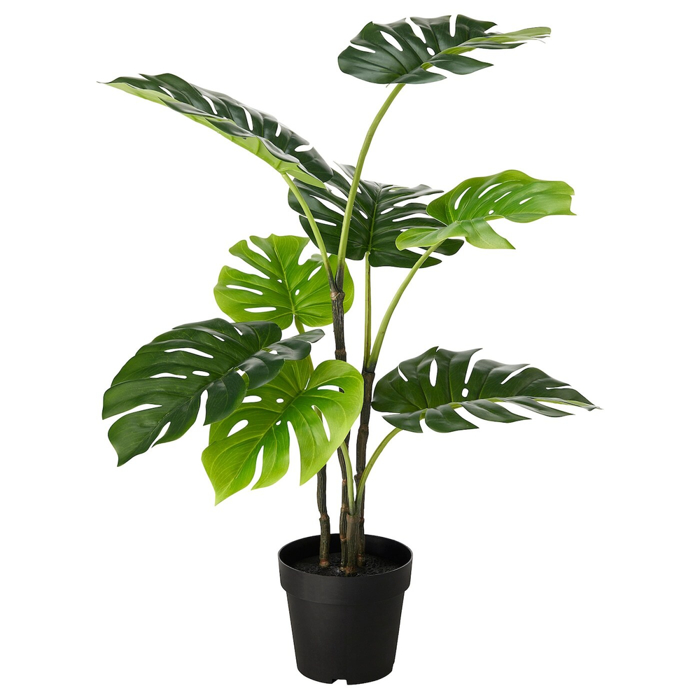 FEJKA Искусственное горшечное растение, комнатное/открытое Monstera, 19 см