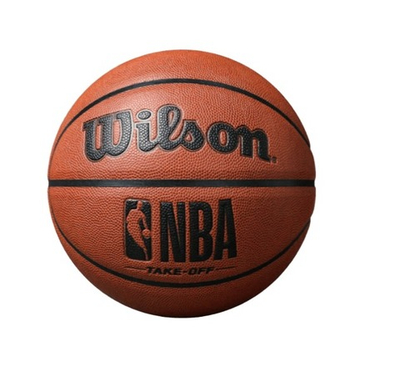 Баскетбольный мяч Wilson NBA Takeoff