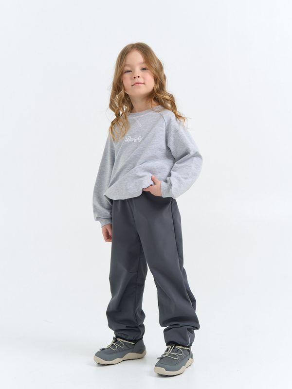 Брюки Softshell демисезонные 