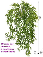 Искусственное растение Олений рог зеленый в настенном белом кашпо