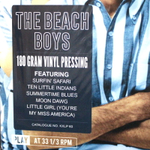 The Beach Boys / Summer Fun (LP)