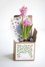 Гиацинт в крафтовой коробочке с открыткой