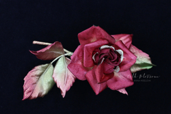 Брошь Бордовая роза из шелка с золотом